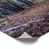 Pfad im Herbstwald, Heiliger Germain-Wald Poster (Ecke)