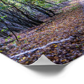 Pfad im Herbstwald, Heiliger Germain-Wald Poster (Ecke)
