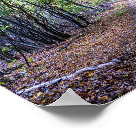 Pfad im Herbstwald, Heiliger Germain-Wald Poster (Ecke)