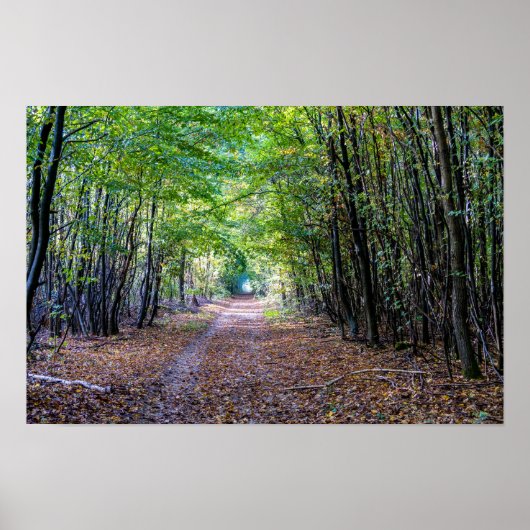 Pfad im Herbstwald, Heiliger Germain-Wald Poster (Vorne)