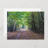 Pfad im Herbstwald, Heiliger Germain-Wald Postkarte (Vorne/Hinten)