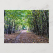 Pfad im Herbstwald, Heiliger Germain-Wald Postkarte (Vorderseite)