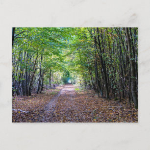 Pfad im Herbstwald, Heiliger Germain-Wald Postkarte