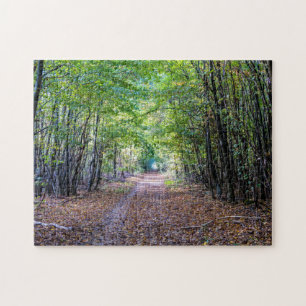 Pfad im Herbstwald, Heiliger Germain-Wald Puzzle