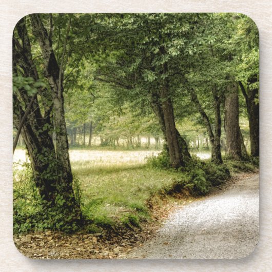 Pfad im Land Getränkeuntersetzer (Vorderseite)