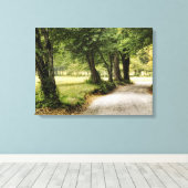 Pfad im Land Leinwanddruck (Insitu (Holzboden))