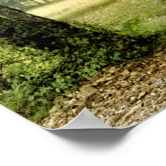 Pfad im Land Poster (Ecke)