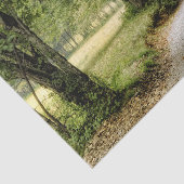 Pfad im Land Seidenpapier (Ausschnitt)