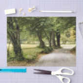 Pfad im Land Seidenpapier (Handwerk)