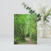 Pfad im Redwood-Wald Postkarte (Stehend Vorderseite)