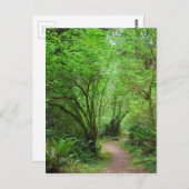 Pfad im Redwood-Wald Postkarte (Vorne/Hinten)