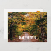 Pfad im Wald fällt Save the Date Ankündigungspostkarte (Vorne/Hinten)