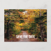 Pfad im Wald fällt Save the Date Ankündigungspostkarte (Vorderseite)