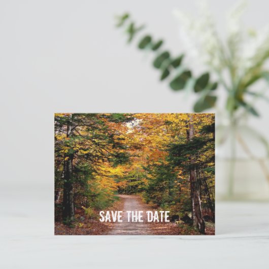 Pfad im Wald fällt Save the Date Ankündigungspostkarte (Stehend Vorderseite)