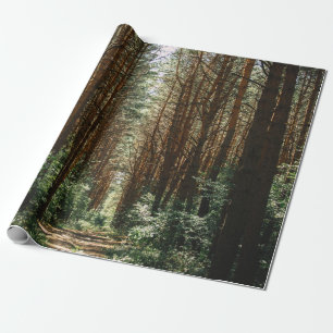 PFAD IM WALD GESCHENKPAPIER