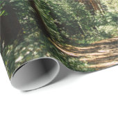 PFAD IM WALD GESCHENKPAPIER (Rolleneckpunkt)