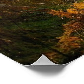 Pfad im Waldwald-Naturwall-Poster Poster (Ecke)