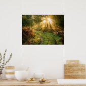 Pfad im Waldwald-Naturwall-Poster Poster (Küche)