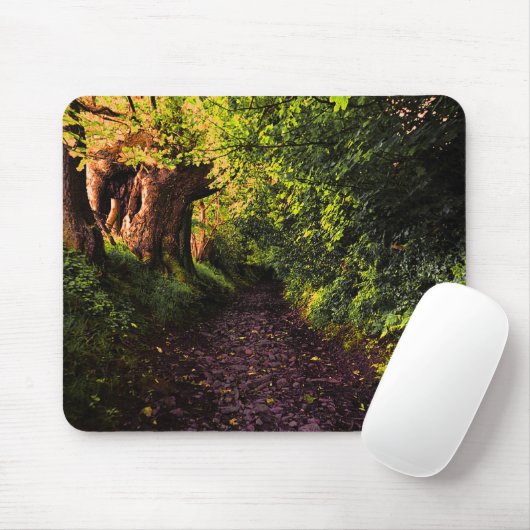 Pfad in der dunklen Holzmousepad Mousepad (Mit Mouse)