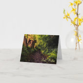 Pfad in der Karte der besten Wünsche der Wälder (Gelbe Blume)