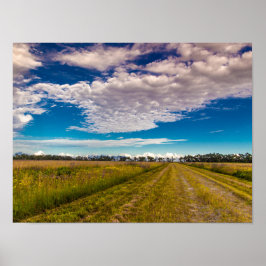 Pfad in Kissimmee Prairie Preserve Staat Park, FL Poster