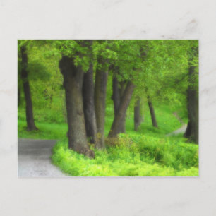 Pfad Postkarte
