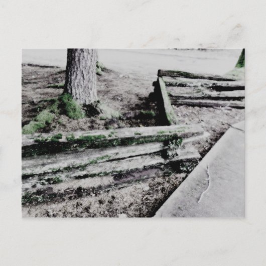 Pfad Postkarte (Vorderseite)