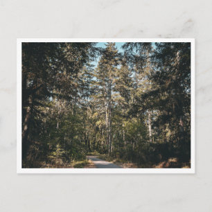 Pfad Postkarte