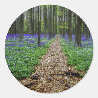 Pfad Runder Aufkleber