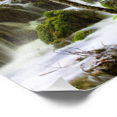 Pfad und Stream im Wald Fotodruck (Ecke)