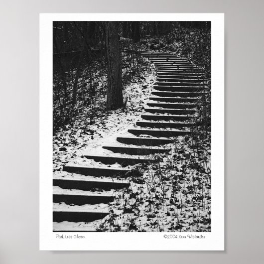 Pfad weniger ausgewählt poster (Vorne)