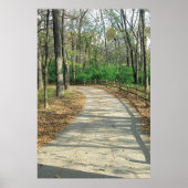 Pfad Weniger befahrener Fotodruck Poster (Vorne)