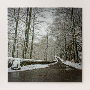 Pfad zu Dreamland - deutscher Wald -20x20-676 Stk. Puzzle