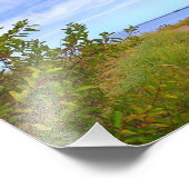 Pfad zum Beach-Foto Fotodruck (Ecke)