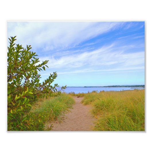 Pfad zum Beach-Foto Fotodruck (Vorne)