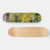 Pfad zum Kaysinger General Store Skateboard (Horizontal)