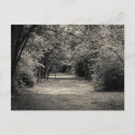 Pfad zum Unbekannten Postkarte (Vorderseite)