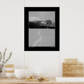 Pfad zur Birke im Winter (einfarbig) Poster (Küche)