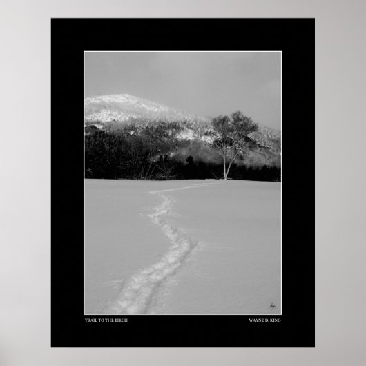 Pfad zur Birke im Winter (einfarbig) Poster (Vorne)