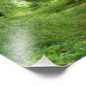 Pfad zwischen den Bäumen 10 x 8 Fotografischer Dru Fotodruck (Ecke)