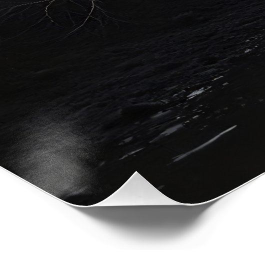 Pfad zwischen Schatten Poster (Ecke)