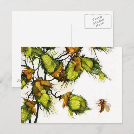 "Pfadfinder" Postkarte durch JAC (Vorne/Hinten)