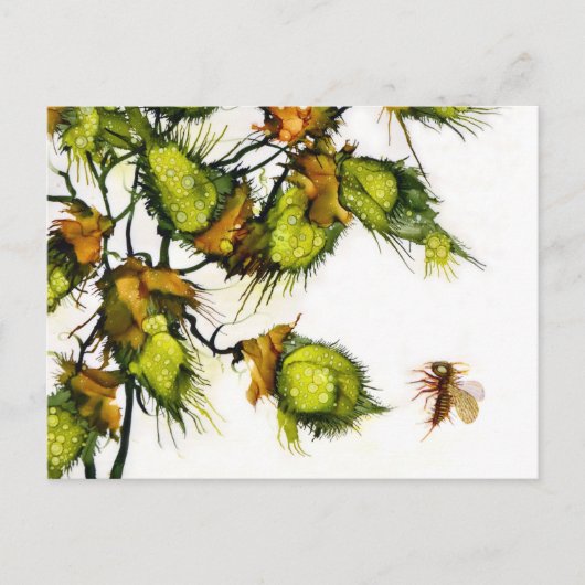 "Pfadfinder" Postkarte durch JAC (Vorderseite)