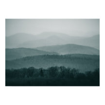 Pfälzerwald Deutschland Landschaftliches Foto