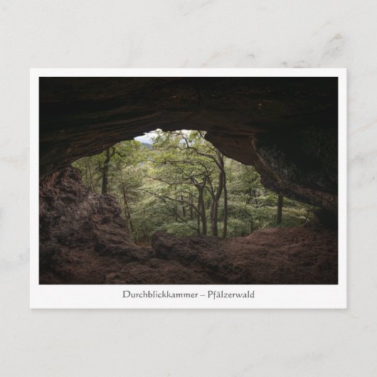 Pfälzerwald Postkarte (Vorderseite)