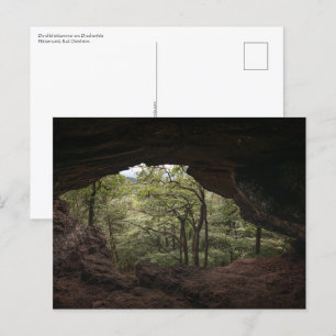 Pfälzerwald Postkarte