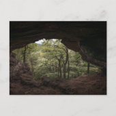 Pfälzerwald Postkarte (Vorderseite)