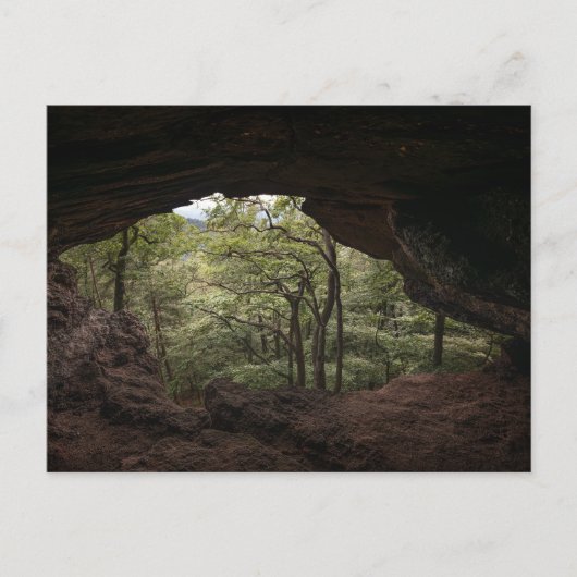 Pfälzerwald Postkarte (Vorderseite)