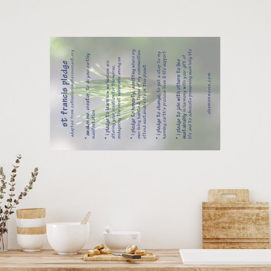 Pfandbrief für den Francis ( überarbeitet ) POSTER (Küche)