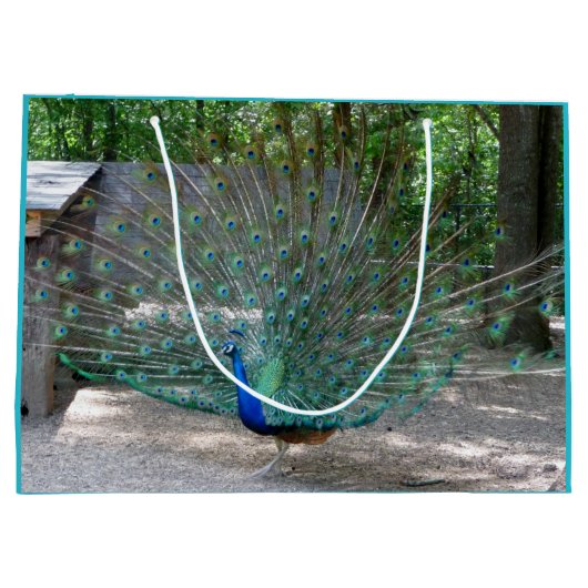 Pfannengeschenk Große Geschenktüte (Rückseite)